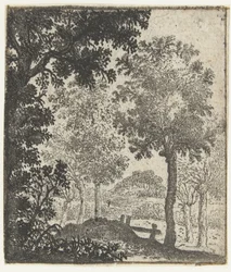 Paysage avec grand arbre au premier plan