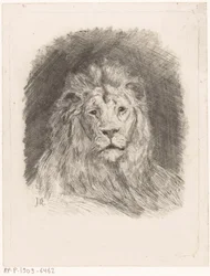 Tête de lion