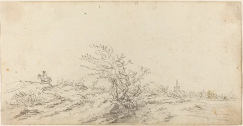 Cavalier parmi les dunes