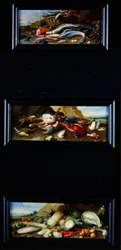 Nature morte - poissons, gibier, légumes