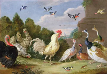 Paysage boisé avec un coq, un dindon, des poules et d