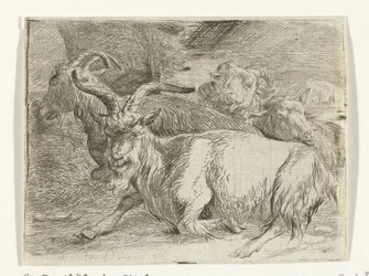 Deux chèvres et deux moutons