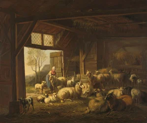 Moutons et chèvres dans une étable
