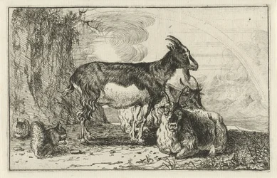 Chèvres