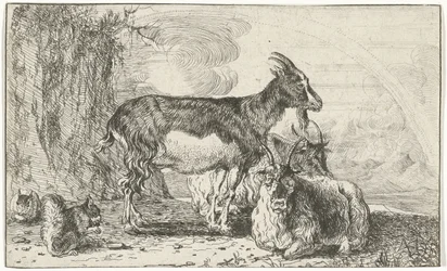 Chèvres