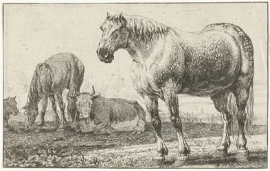 Chevaux et vaches
Dieren (titre de la série)
Zoographiam (titre de la série)