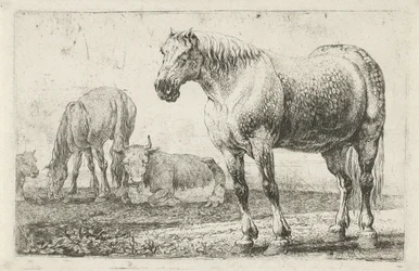 Chevaux et vaches
