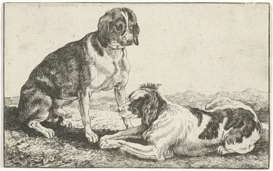 Deux chiens au repos