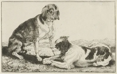 Deux chiens au repos