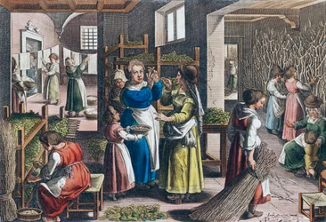 Production de soie en Europe au XVIe siècle