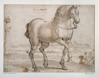 Étude pour un cheval sicambre