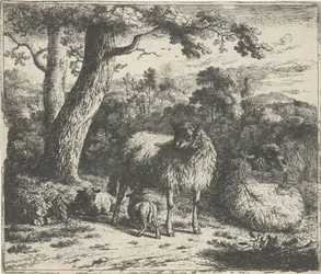 Mouton debout avec deux agneaux