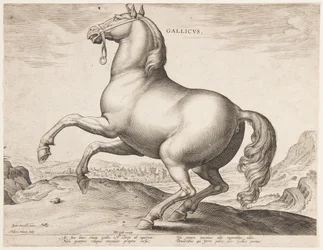 Un cheval français, du premier ensemble de "Equile Joannis Austriaci"