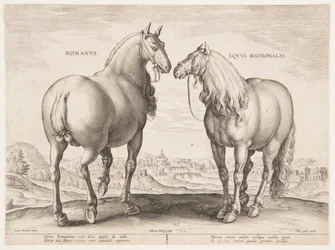 Un cheval romain, de la première série d’« Equile Joannis Austriaci »