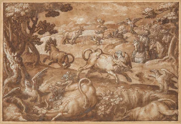 Hommes chassant des taureaux avec des aigles