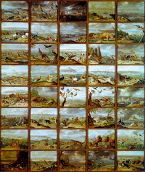 Animaux. Tableau montrant des compartiments correspondant à différentes espèces animales. Peinture de Jan Van Kessel