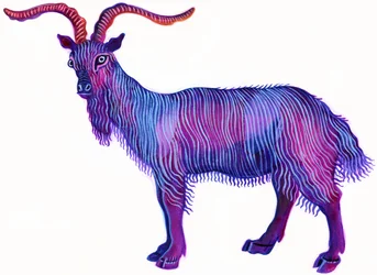 Capricorne