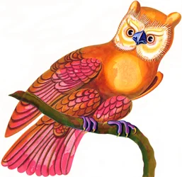 Hibou