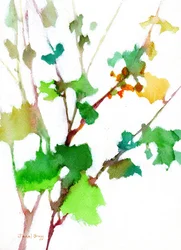 Botanique de la cour, vers 2023 (aquarelle sur papier)