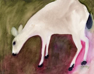 Cerf d