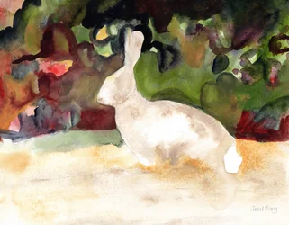 Lapin que nous avons vu lors de notre promenade, vers 2016