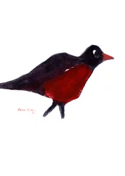 Rouge-gorge chassant, 2023