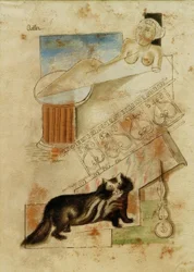 Chat et vierge flottante