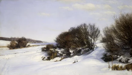 Hiver près de la mer, 1888