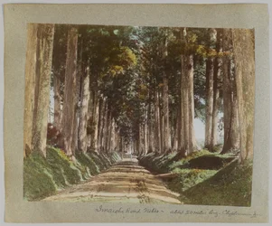Route d