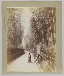 Route à travers une bambouseraie, Japon