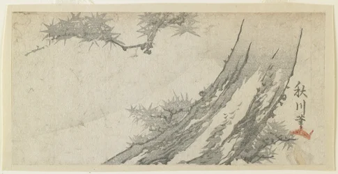 Érable et Mont Fuji