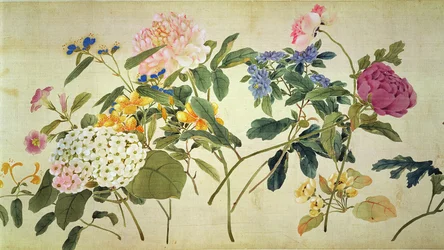 Étude botanique de fleurs