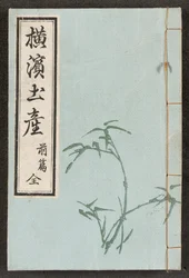 Reliure avant des Vues de Yokohama