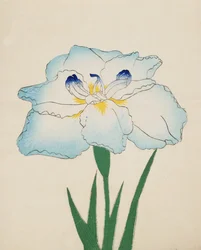 Issui-No-Gin, No. 34, 1890