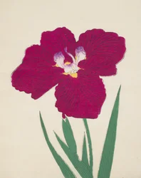 Tai-Hei-Raku, No. 18, 1890