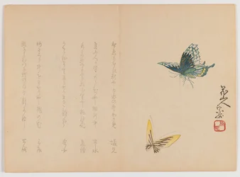 Deux papillons, vers 1860