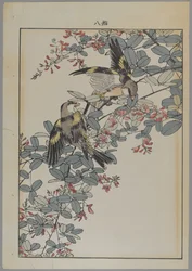 Deux oiseaux avec des fleurs roses, période Meiji, c.1868-1912