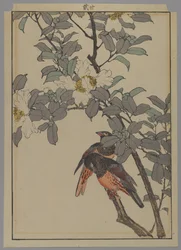 Deux oiseaux avec des fleurs blanches, période Meiji, 1892