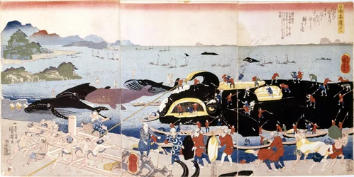 Pêche à la baleine au Japon