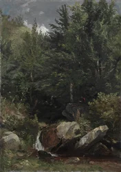 Arbres et un ruisseau sur une colline