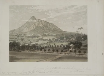 Jardin à Buitenzorg
