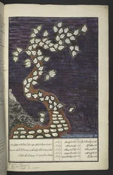 Tableau généalogique sous forme d