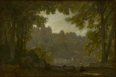 Paysage forestier
