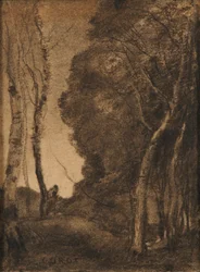 Paysage avec des arbres