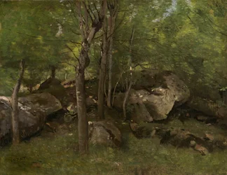Rochers dans la forêt de Fontainebleau