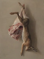 Un lièvre et une patte d