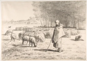 Une bergère avec son troupeau