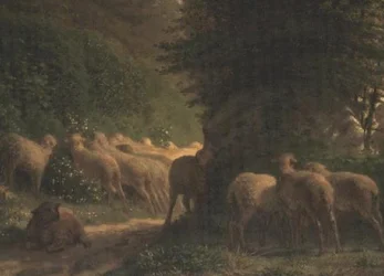 Moutons broutant le long d