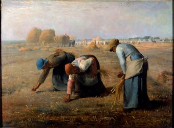 Les glaneurs