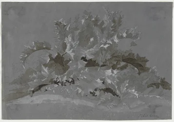 Étude de mauvaises herbes, 1800-1850